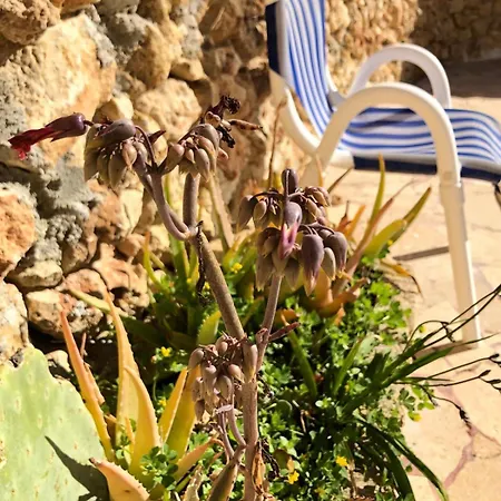 Gozo Silence Bed & Breakfast Għarb
