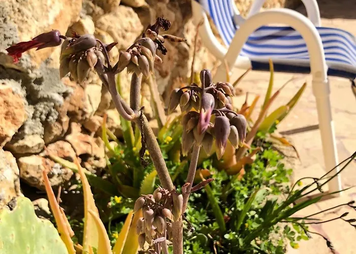 Gozo Silence فندق مبيت وإفطار Għarb